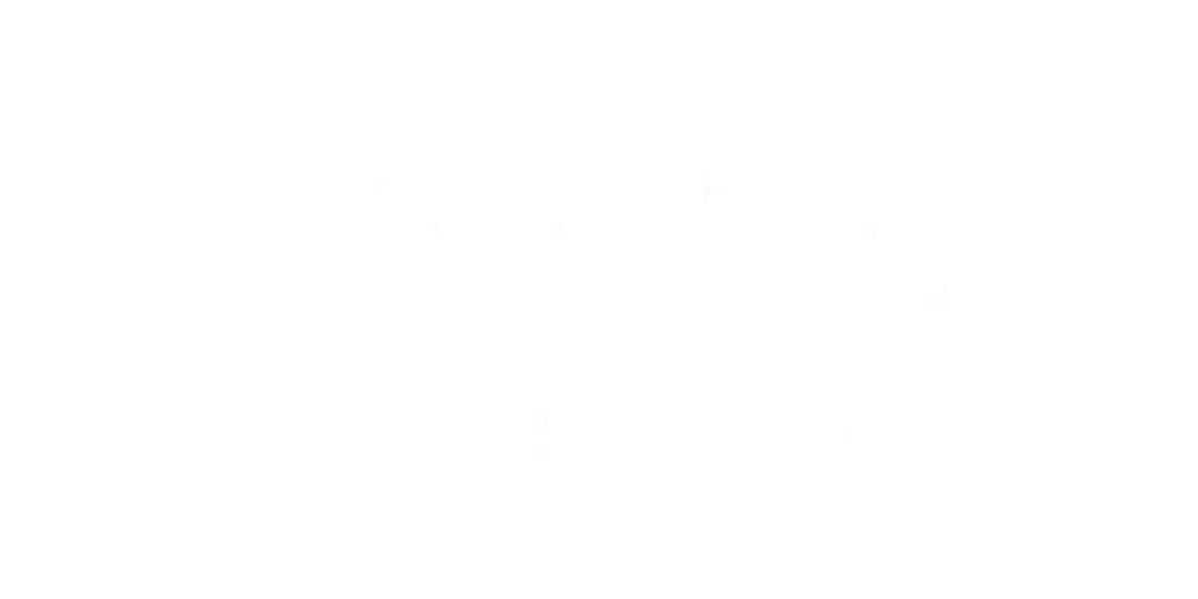 Houston Trial Lawyers Association